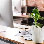 SEO and Sustainability: A Perth Perspective on Ethical Business Practices